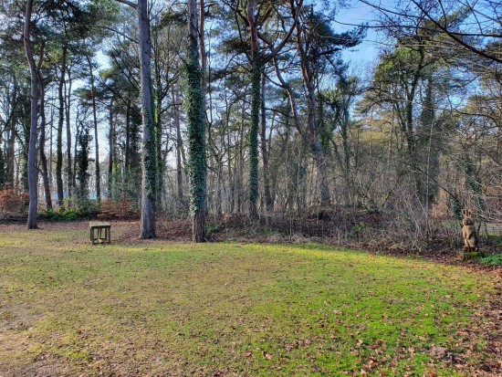 header_banner_image_mobile