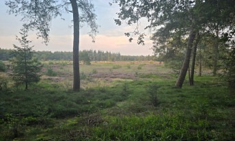 Gallery image mobile 3