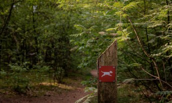 Gallery image mobile 3