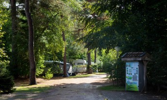 Gallery image mobile 3