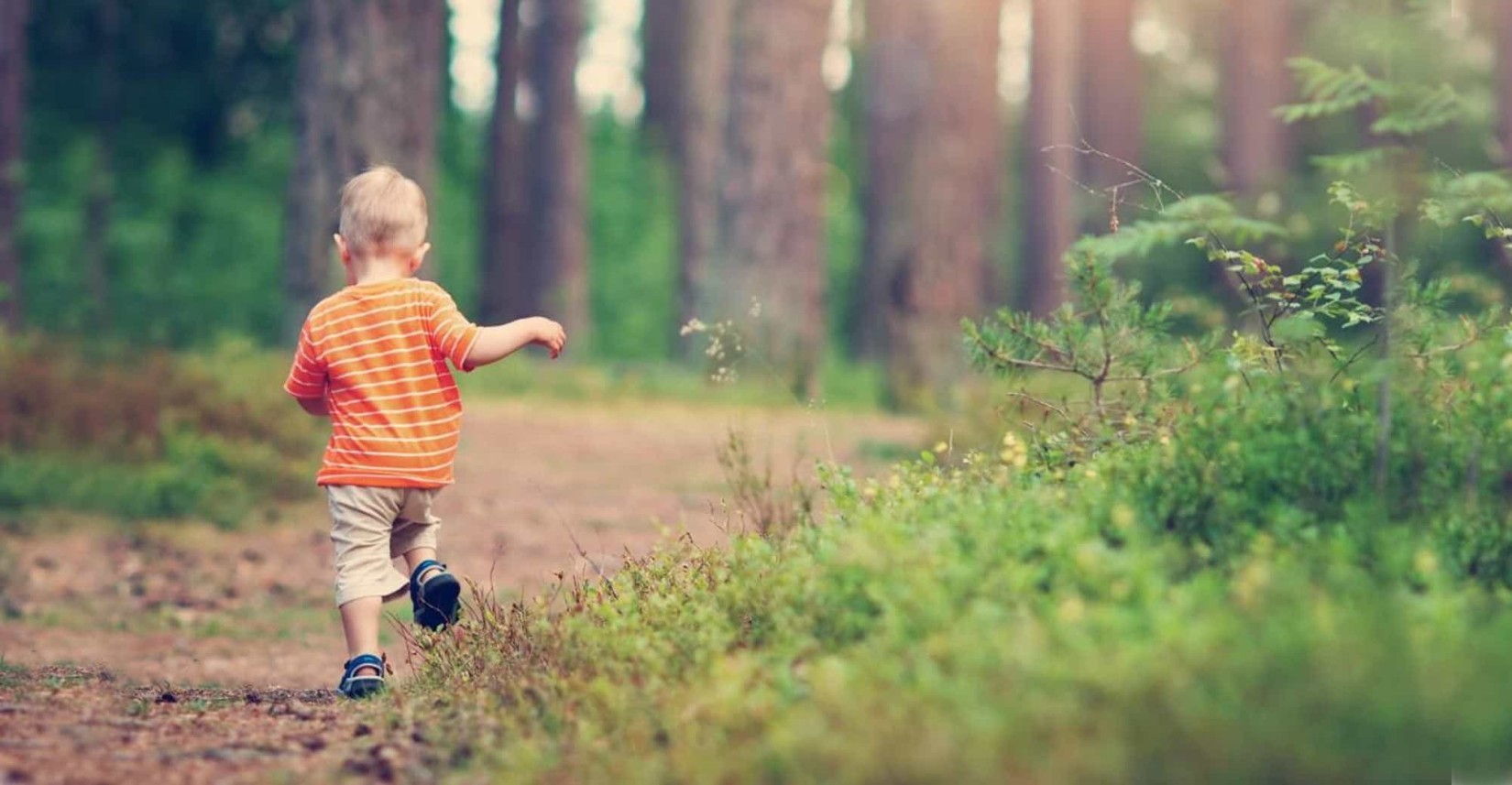 header_banner_image