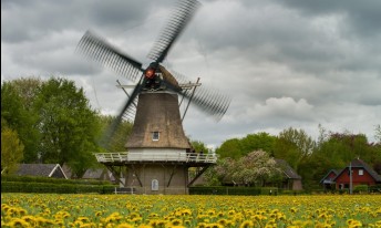 Gallery image mobile 3