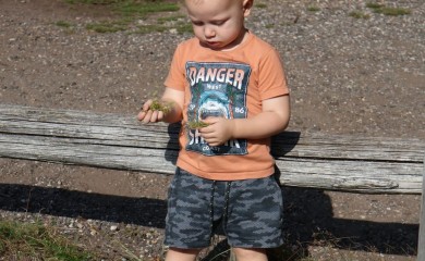 img-7