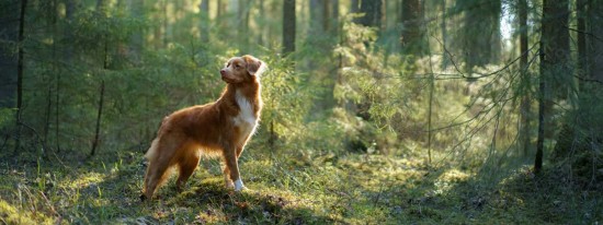 impression-mobile-img-2