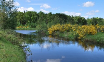 Gallery image mobile 3