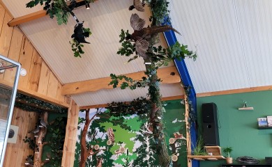 img-23