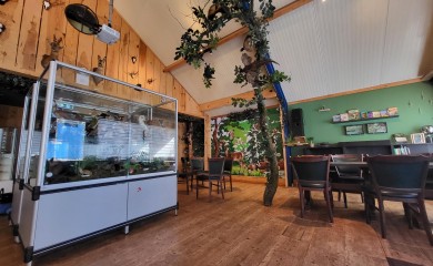 img-27