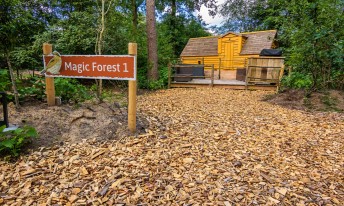 Gallery image mobile 3