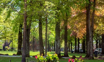 Gallery image mobile 3