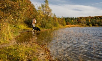 Gallery image mobile 3