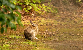 Gallery image mobile 3