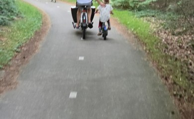 img-21