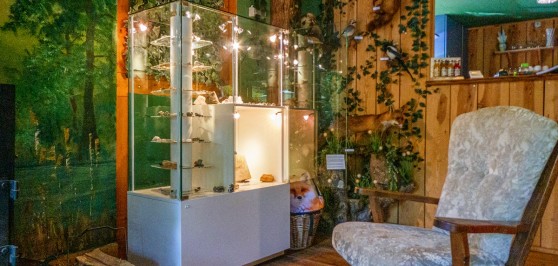 Gallery image 2